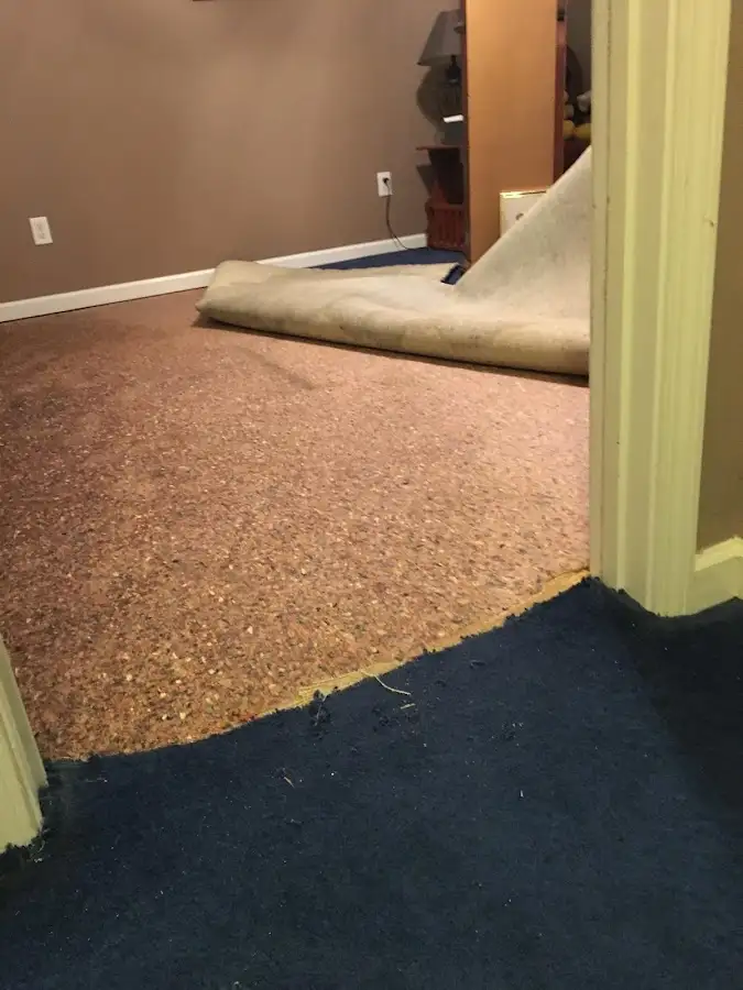 Carpet pad removal revealing water damage during Drying & Dehumidification in Lower Nazareth